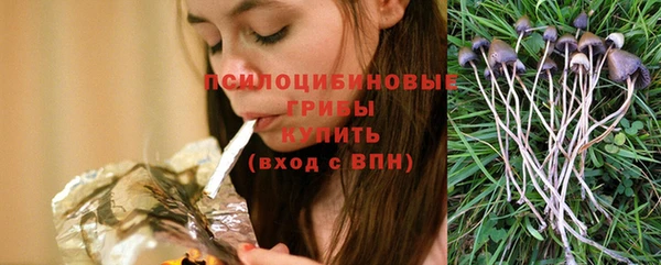 ГАЛЛЮЦИНОГЕННЫЕ ГРИБЫ Балабаново