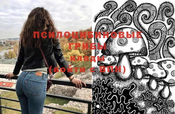 ГАЛЛЮЦИНОГЕННЫЕ ГРИБЫ Балабаново