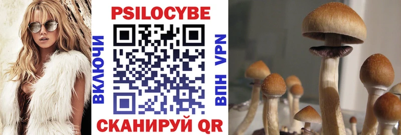 Псилоцибиновые грибы MAGIC MUSHROOMS  Сланцы 