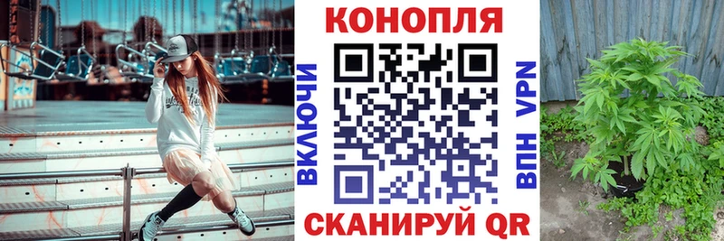 hydra как зайти  наркошоп  Сланцы  Бошки марихуана AK-47 